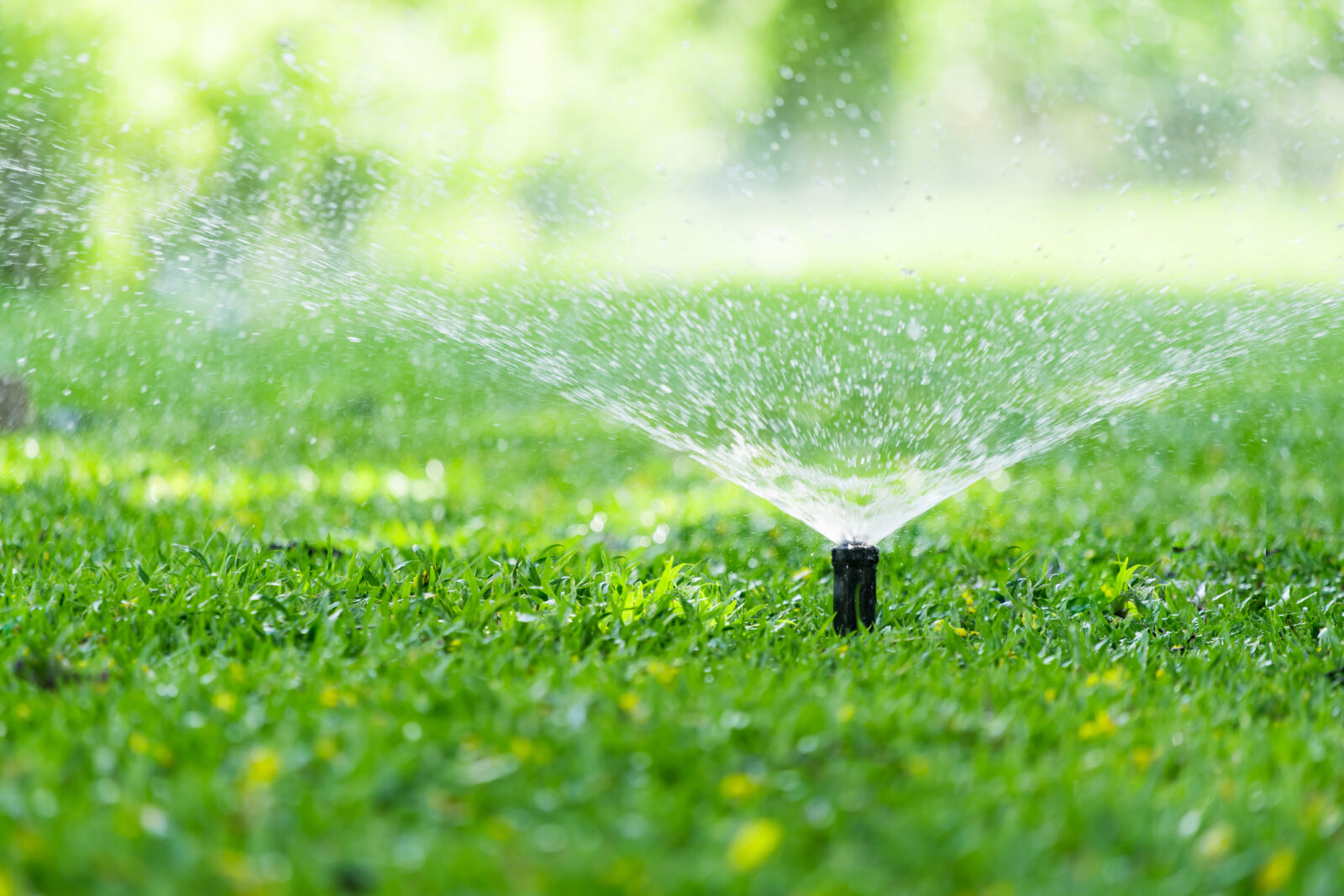 An image of a lawn sprinkler to illustrate a post on smart irrigation for LCA.