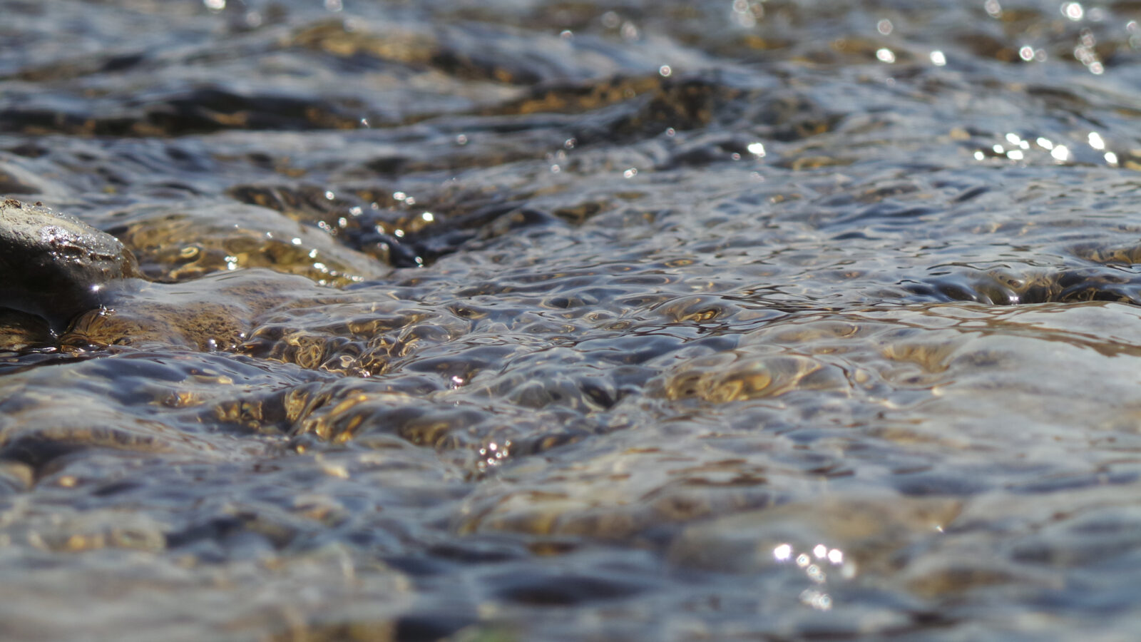 An image of a clean, high quality stream for an LCA blog post on Water Quality Month.