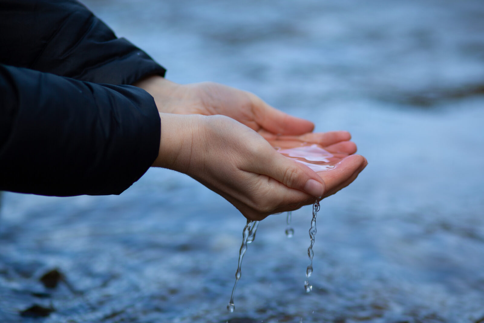 An image of water running through a pair of cupped hands and back into a stream, for an LCA post on Source Water Protection Week.