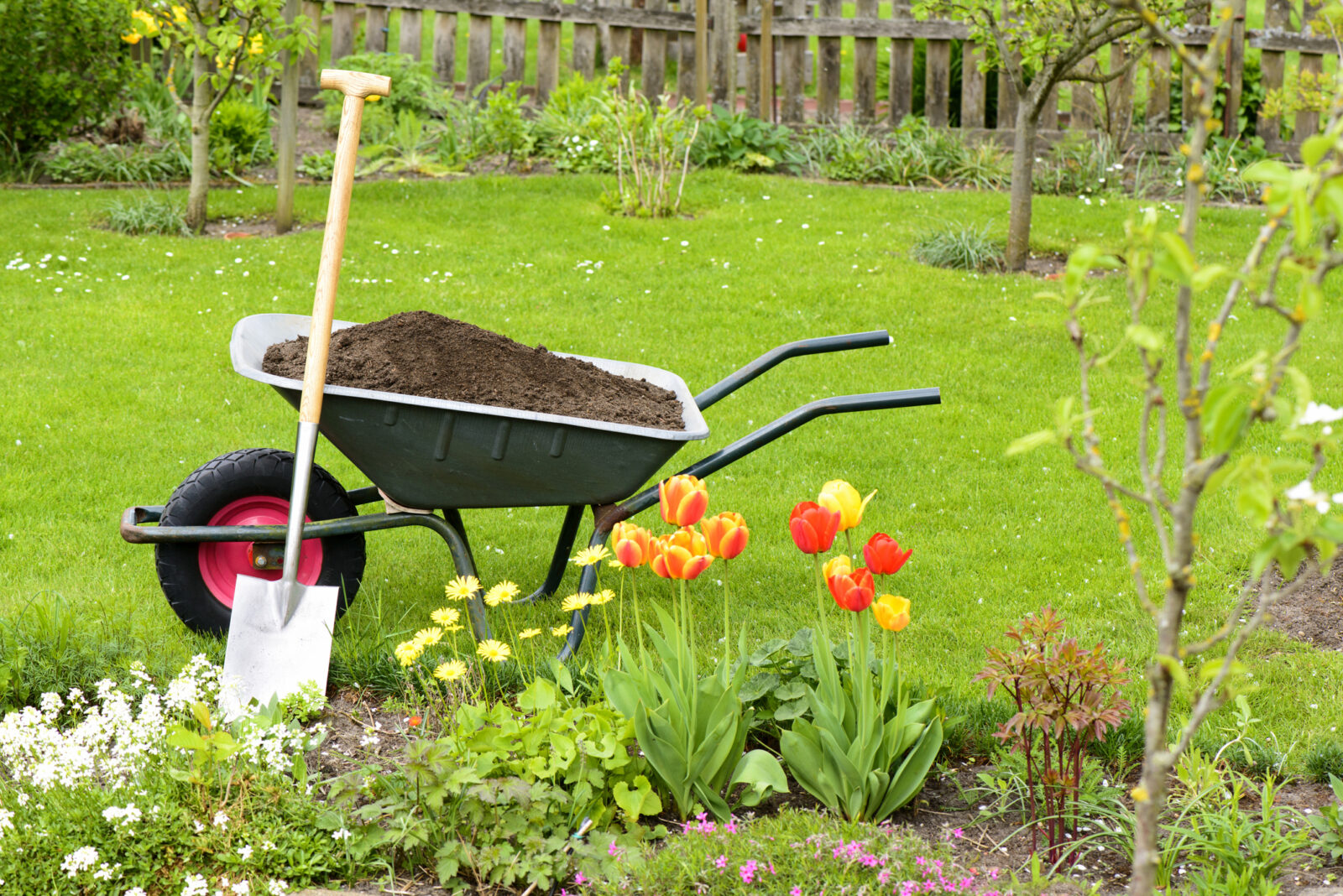 A shovel leans on a wheelbarrow full of mulch near a flower bed. This illustrates a blog post about preparing your gardens in spring.