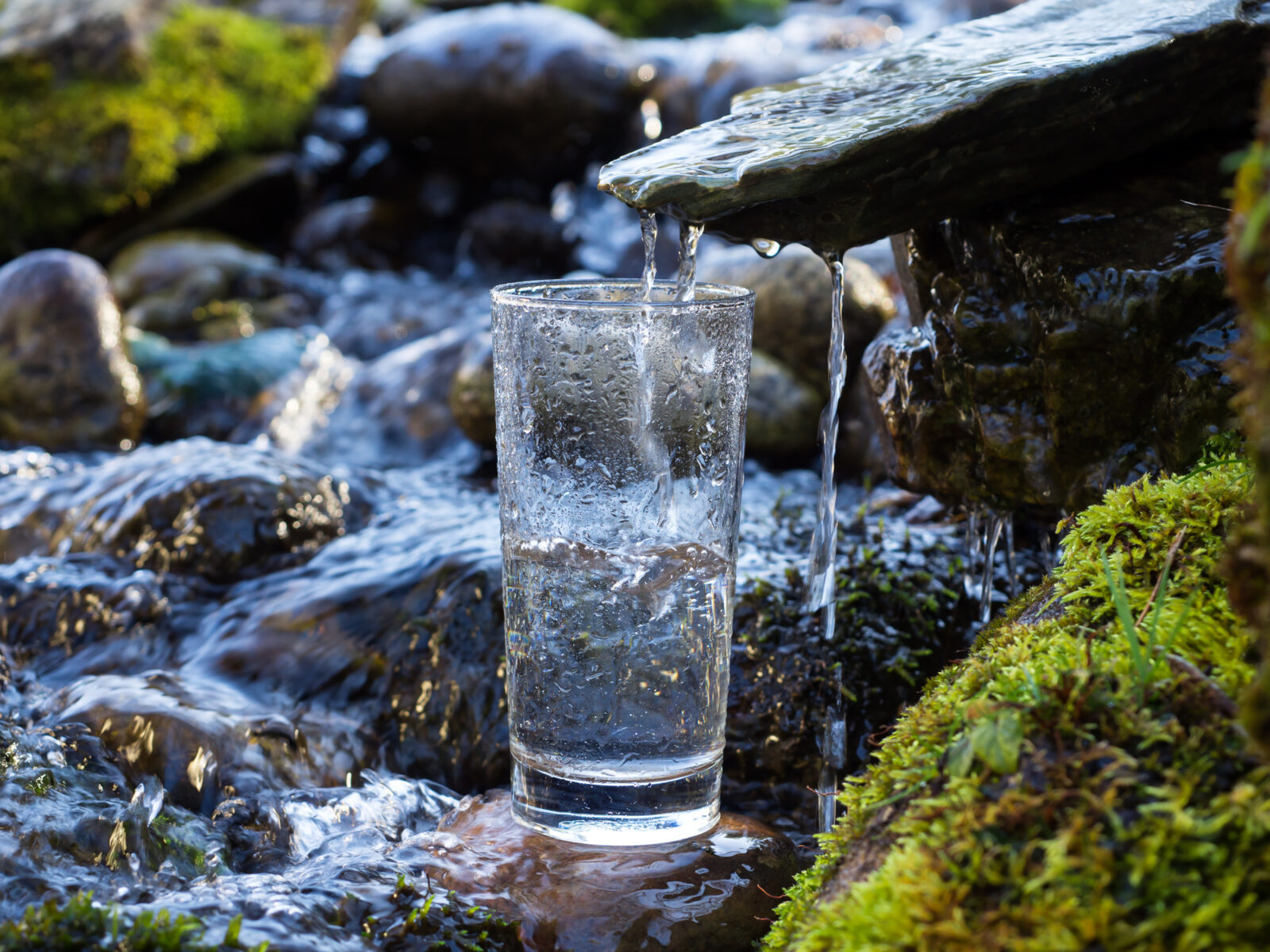 Pure, clean source water trickles from a flat rock to a clear glass sitting in the middle of a mountain stream. The image illustrates an LCA blog post on source water protection week.