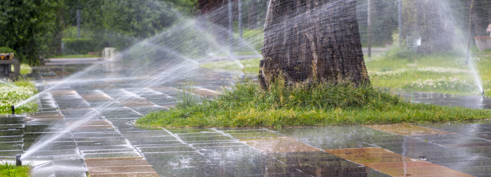 An automatic sprinkler system inefficiently watering the pavement on a hot, sunny day.