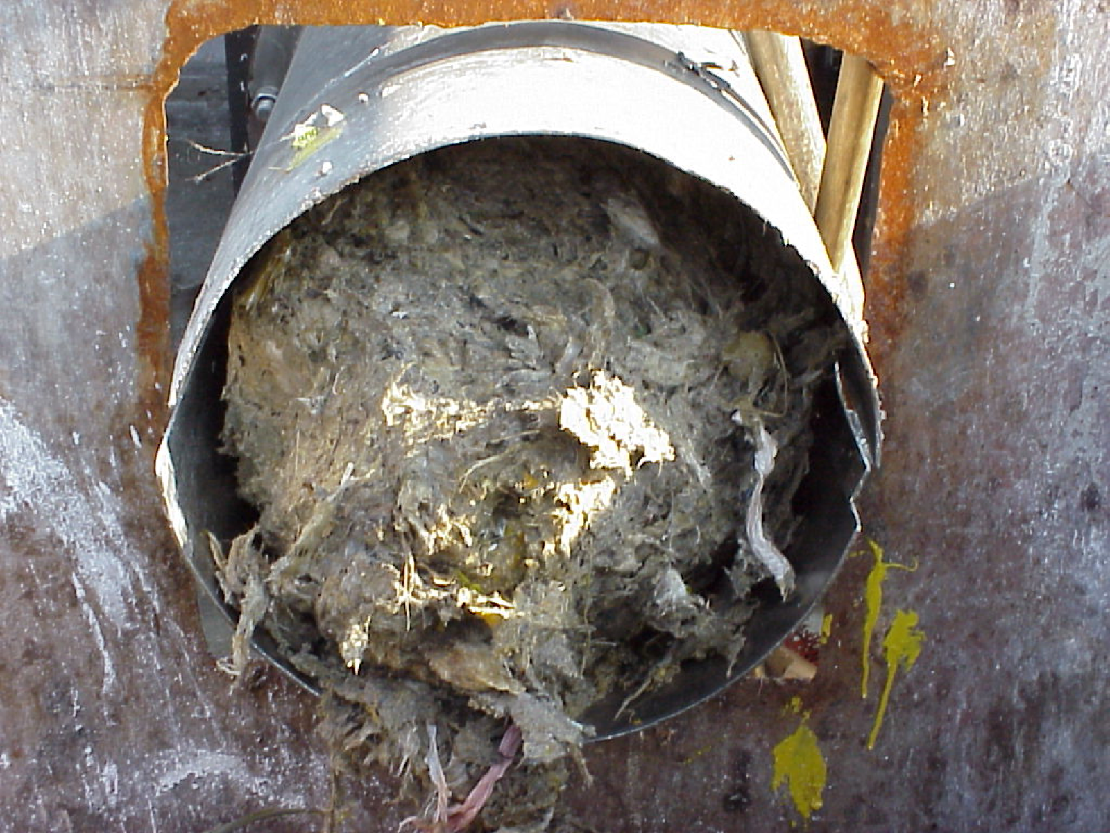 Wipes plus fat, oil and grease (FOG) form fat bergs in sewer pipes.