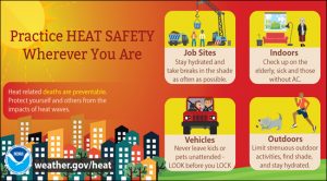 A graphic detailing heat safety tips. 